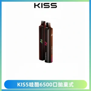 KIS5WAGOO哇酷6500口拋棄式 | 自由混搭雙口味 | 雙芯組合